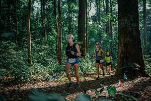 BIB: 
                            <button type="button" onclick="openModal(26131775)" class="btn btn-primary btn-sm float-right btn-popup" data-toggle="modal" data-target=".modal-high-quality">
                        <i class="fas fa-shopping-cart"></i> Add to Cart
                    </button>
                                            <button type="button" onclick="isThisMe(26131775, true)" class="btn btn-success btn-sm float-right btn-popup btn-isme hidden" data-toggle="tooltip" data-placement="bottom" title="นี่คือรูปของคุณใช่ไหม คลิกที่นี่เพื่อเอาเข้าอัลบั้ม">
                        <i class="fas fa-plus"></i> Add to album
                    </button>
                    <button type="button" onclick="isThisMe(26131775, false)" class="btn btn-warning btn-sm float-right btn-popup btn-isnotme hidden">
                        <i class="fas fa-ban"></i> Remove from album
                    </button>